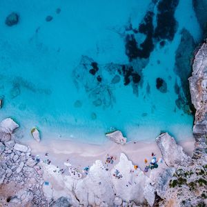 High angle view of fish swimming in sea