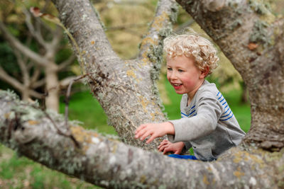 Curly haired boy climbing a tree