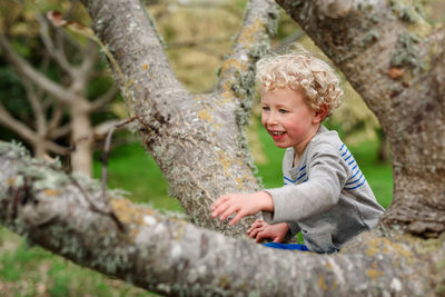 Full length of boy looking at tree trunk