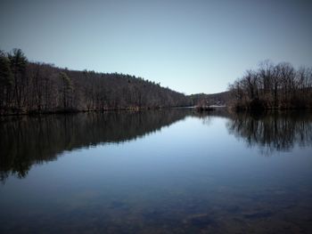 Reflection of trees in calm lake