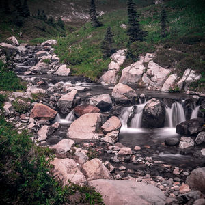 Scenic view of waterfall in forest