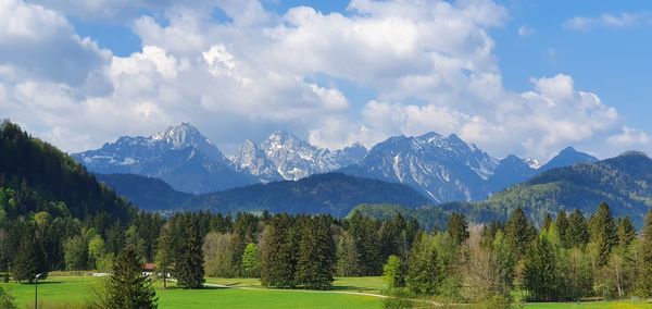 Panoramic view of trees and mountains against sky