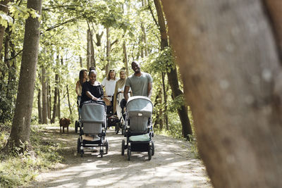 Parents talking to each other while walking with baby strollers on footpath at park