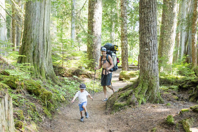 Father and son hiking on trail through lush old growth forest