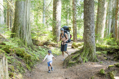 Father and son hiking on trail through lush old growth forest