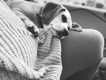 Rear view of woman with dog relaxing outdoors