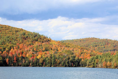 Scenic view of trees by lake against sky during autumn