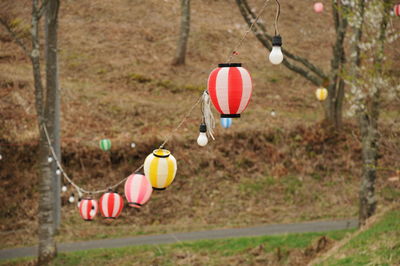 Close-up of red umbrella hanging on street in field