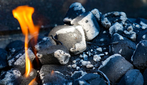 Close-up of firewood