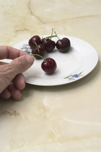 Midsection of person holding fruits in plate