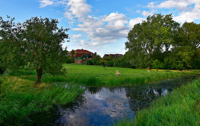 Scenic view of trees and buildings against sky