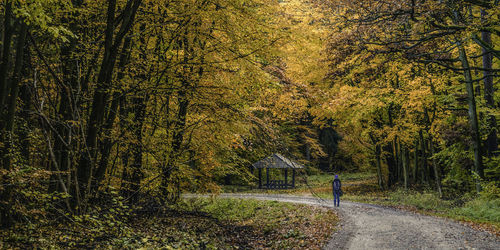 Man walking on road in forest