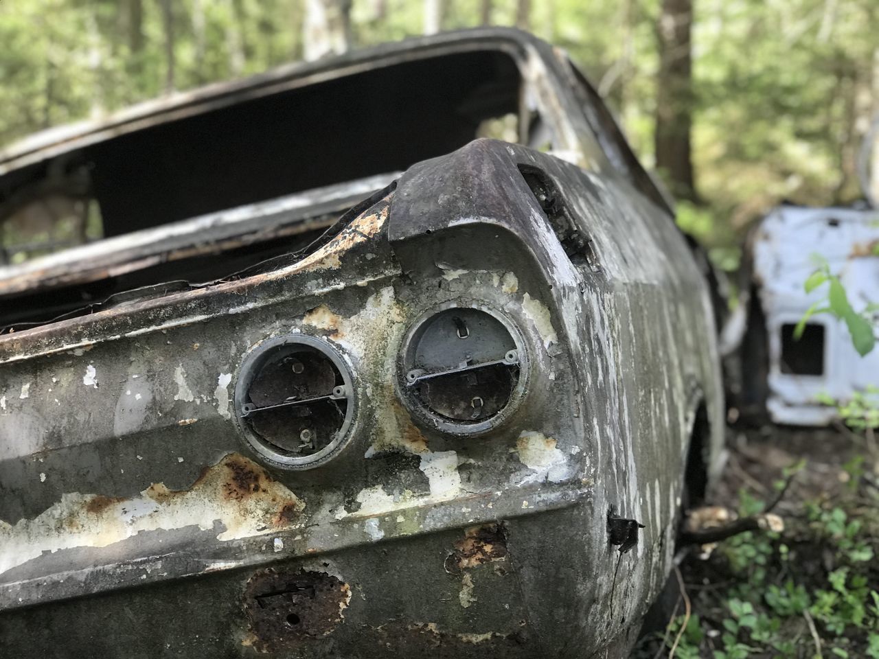 car, abandoned, vehicle, damaged, old, wheel, rundown, metal, mode of transportation, no people, rusty, deterioration, auto part, decline, motor vehicle, close-up, transportation, day, automotive exterior, focus on foreground, nature, weathered, bad condition, outdoors, broken, land vehicle, plant