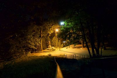 Illuminated trees against sky at night