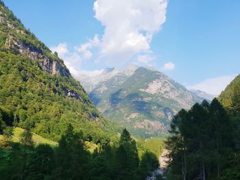 Panoramic shot of trees and mountains against sky