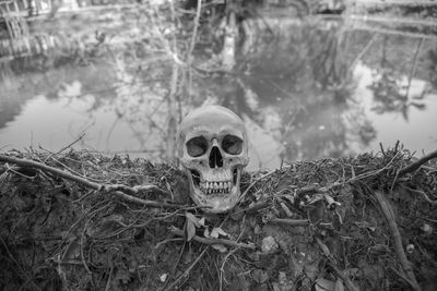 Close-up of human skull against pond