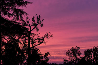 Low angle view of silhouette trees against sky at sunset