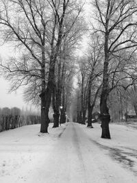 Road amidst bare trees during winter