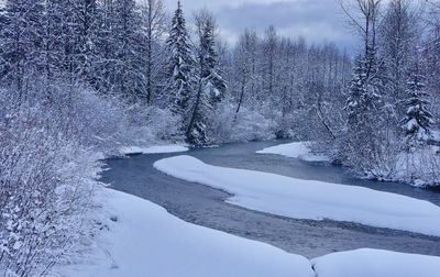 Scenic view of snow covered land