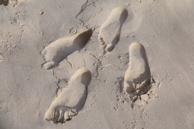 View of sandy beach