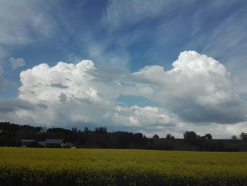 Scenic view of agricultural field against sky