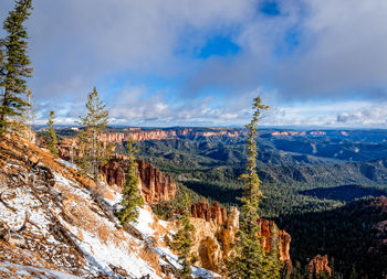 Panoramic view of trees against sky