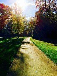 Scenic view of grass and trees against sky