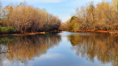 Scenic view of lake in forest against sky