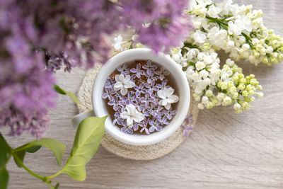 Close-up of potted plant