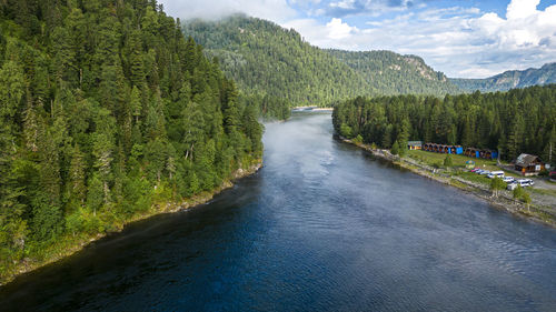 Scenic view of river amidst trees against sky