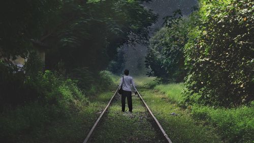 Rear view of man walking in forest