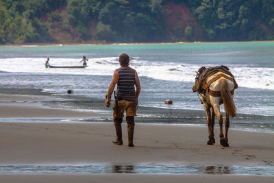Rear view of men on beach