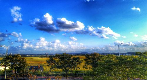 Scenic view of field against cloudy sky