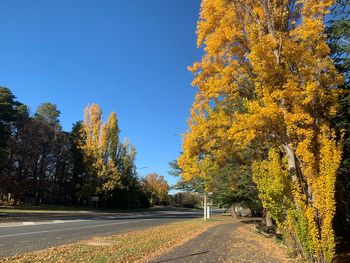 Road amidst trees against sky during autumn