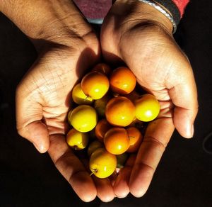 High angle view of person holding berry