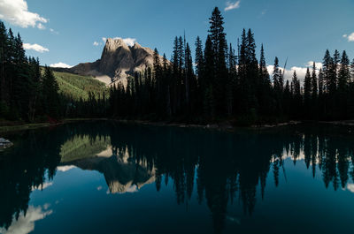 Reflection of trees in lake against sky