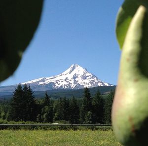 Scenic view of mountains against clear blue sky