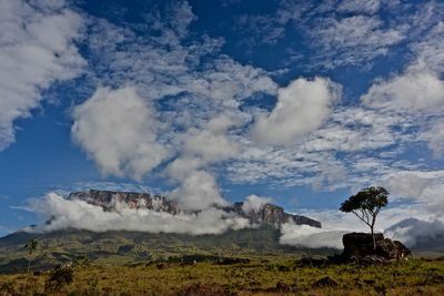 Low angle view of landscape against sky