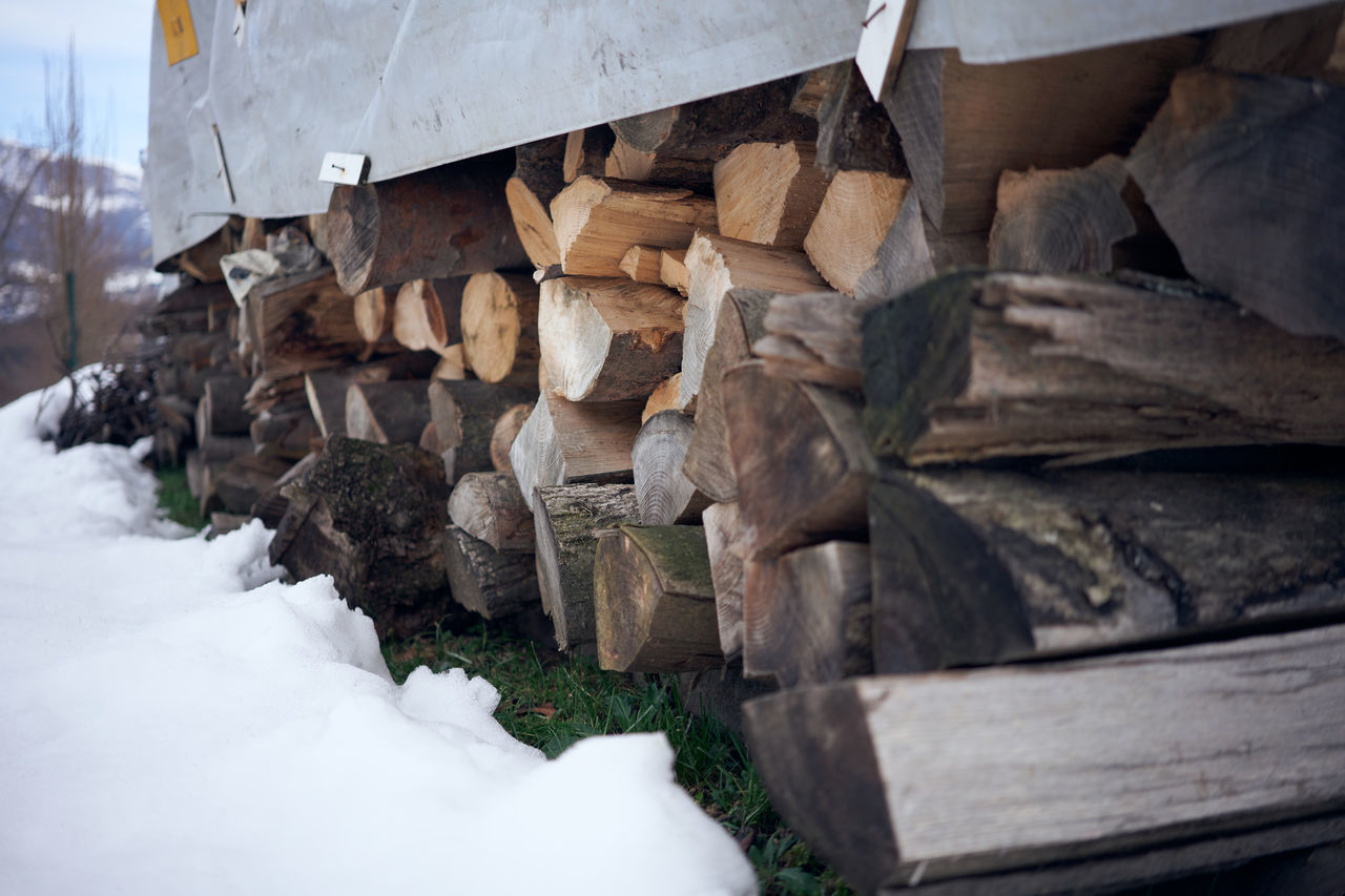 STACK OF LOGS ON SNOW COVERED LOG