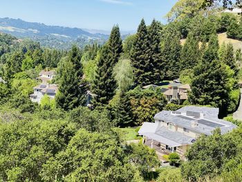 High angle view of trees and buildings against sky