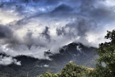 Low angle view of trees and mountain against sky