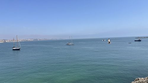 Sailboats sailing in sea against clear sky
