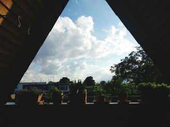 Low angle view of trees against sky