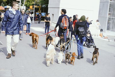 People walking with dog on road in city