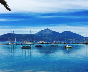 Sailboats moored on sea against sky
