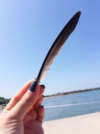 Cropped hand of woman holding feather at beach against clear sky