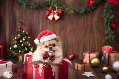 View of christmas decorations on tree