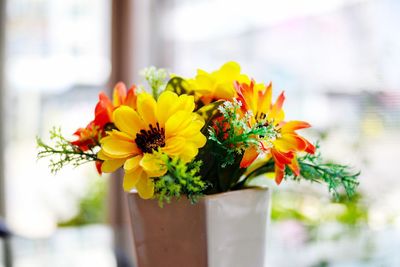 Close-up of yellow flowers in vase