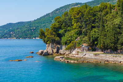 Scenic view of sea by trees against sky