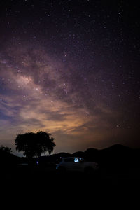 Silhouette trees against sky at night